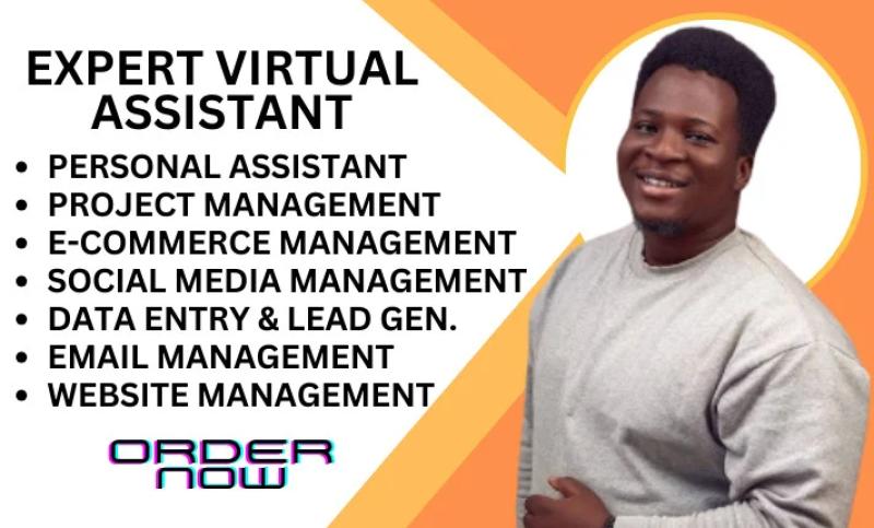 I will offer exclusive virtual assistant administrative personal assistant