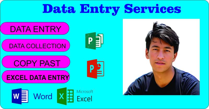 I will do data entry data anylytics typing presntation maker excel etc