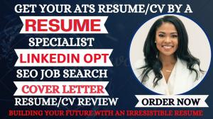 I will search and apply, job search rebuild cybersecurity analyst resume, sales resume