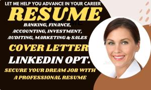 I will write topnotch sales, banking, realtor, accounting, investment resume