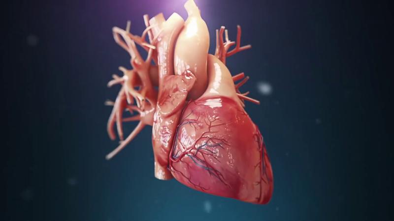 I will create good high quality aesthetic 3d medical animation 3d animation