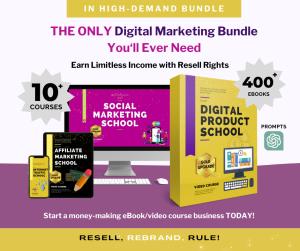 I will give you a profitable digital marketing bundle with resell rights