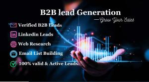 I will provide B2B lead generation and targeted prospect email list