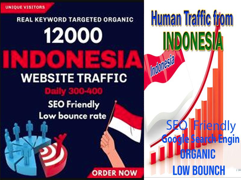 You will get website traffic Indonesia visitors to your website from trusted sources for $5