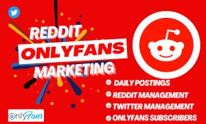 I will grow OnlyFans page and Adult web link Twitter promotion with Reddit marketing