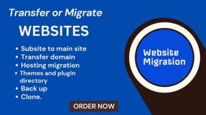 I will do website migration transfer wordpress wix and clone website and backup