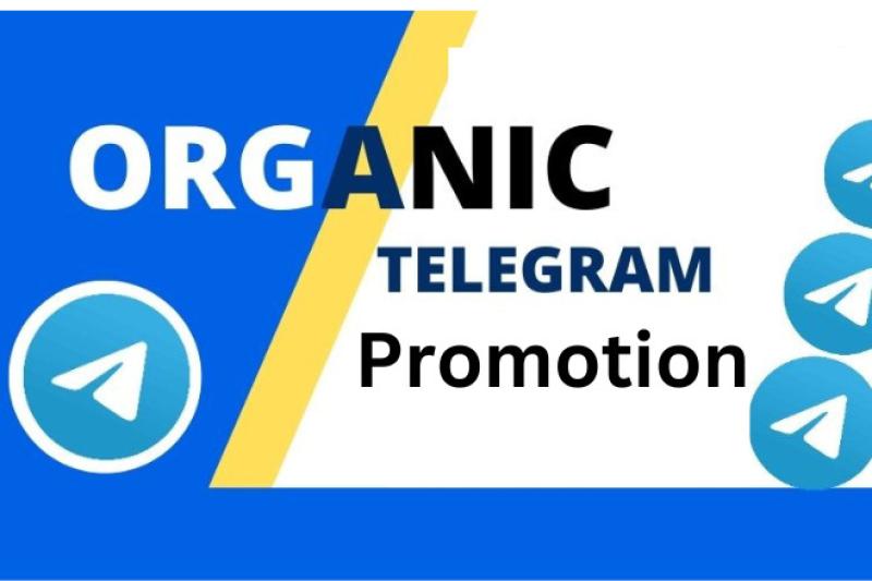 I will grow crypto telegram promotion, forex, telegram marketing, telegram subscribers