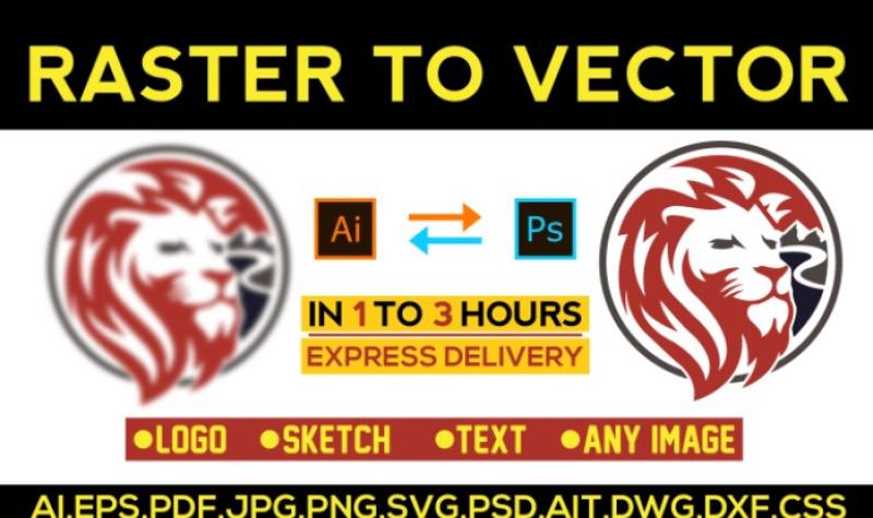 I will do logo vector tracing, convert image to vector or vectorize image