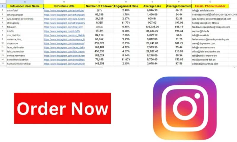 I will find Instagram influencers for your niche