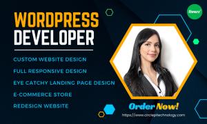 I will do wordpress website design, wordpress redesign, responsive