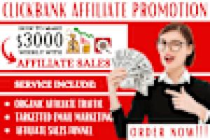 I will do clickbank affiliate link promotion clickbank link affiliate marketing