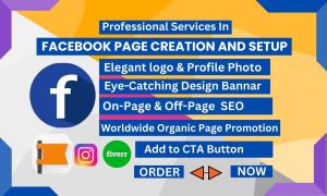I will do professional Facebook Page creation and setup