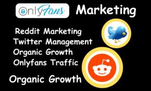 I will do OnlyFans page promotion, adult weblink promotion, Twitter management, and subscriber growth
