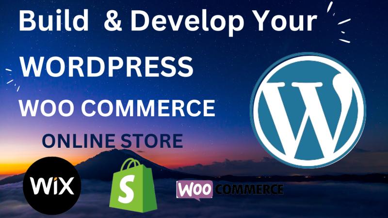 build an amazing wordpress ecommerce website or ecommerce online store