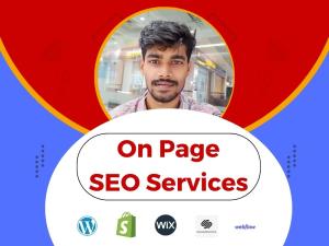 I will do complete best on page SEO services and technical optimization