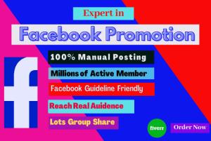 I will do organic Facebook promotion and marketing targeted people