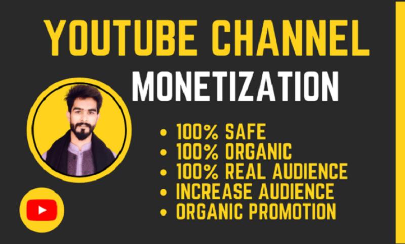 I will do organic YouTube music video promotion for complete channel monetization