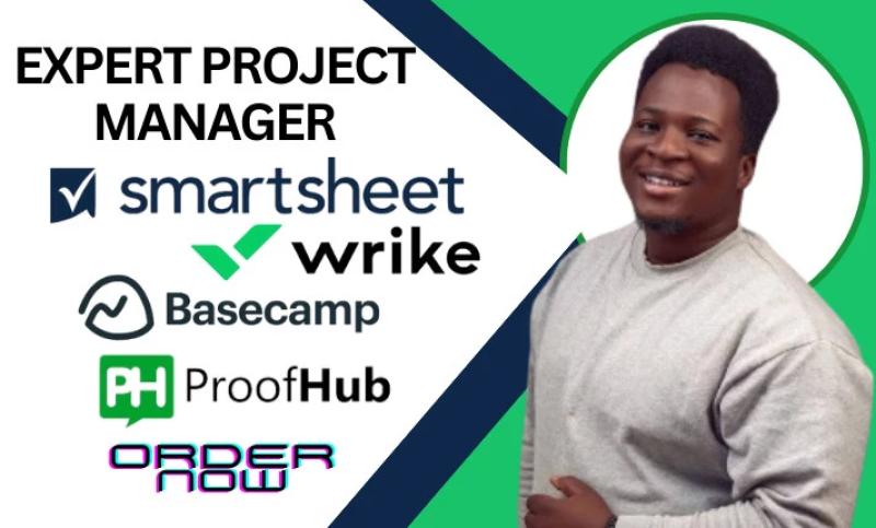 I will customize smartsheet wrike basecamp proofhub for efficiency