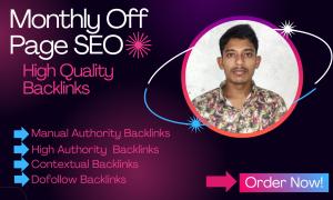 I will monthly off page link building SEO backlinks