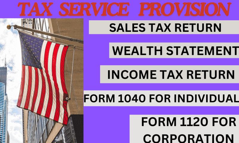 I will prepare and e file USA tax return for personal, corporate and llc