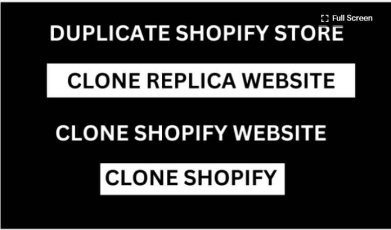 I will copy duplicate clone replicate, design and redesign any shopify store