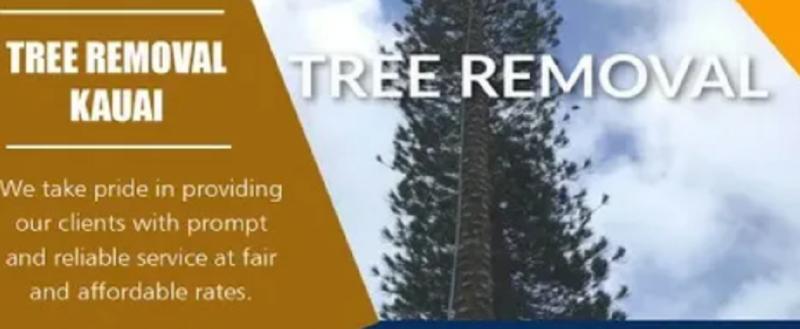 setup facebook ads for landscaping snow removal trees and SEO for tree removal setup facebook ads for landscaping snow removal trees and SEO for tree