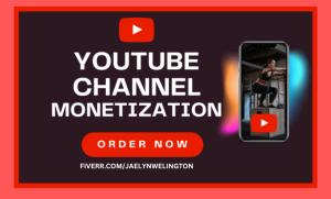 I will do organic YouTube channel promotion for monetization