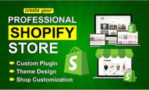 i will utilize shopify liquid with custom coding and bug fixes