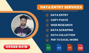 do provide data entry, b2b lead generation, and web research