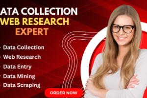 I will do online research and data entry