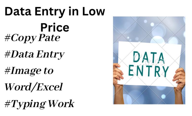 I will do data entry, web scraping, copy paste and excel data entry