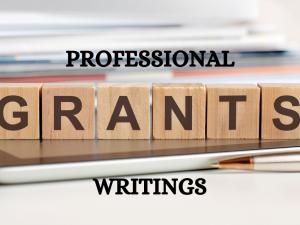 I will do grant research, winning grant writing, business plans, and grant proposal writing.