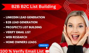 I will find active B2B leads, any business list building