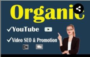 I will do the best youtube video SEO and promotion
