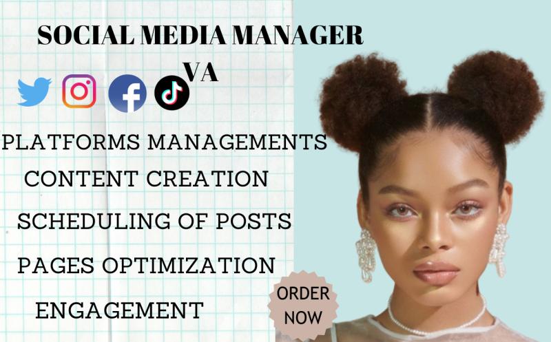 Be I will be your social media manager VA personal virtual assistant buffer vista social