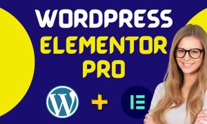 I will build business website, wordpress blogs, ecommerce website, using elementor pro