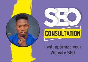 I will create professional SEO services