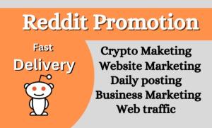 I will boost business website growth with Reddit ads, eCommerce traffic SaaS promotion