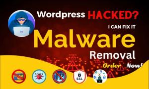 I will do malware removal, wordpress security, clean malware from WordPress malware site