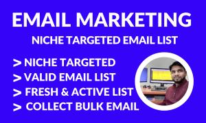 I will do niche targeted valid email list and bulk email collection for email marketing