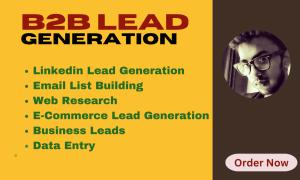I will do B2B lead generation, LinkedIn leads, targeted leads and email list building