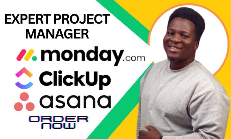 I will optimize monday clickup asana monday com for project management