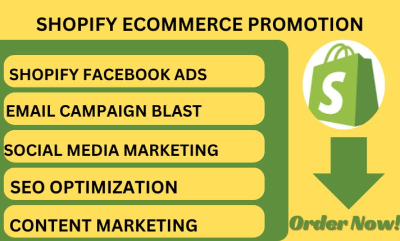 I will Shopify marketing, sales funnel, email marketing, Facebook and TikTok ads