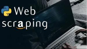 I will do web scraping, data scraping, crawling using python and nodejs