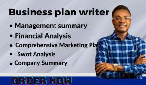 I will write productive business plan that solve financial challenges
