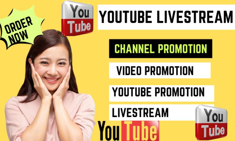 I will do organic promotion for your YouTube livestream video