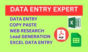 I will do perfect copy paste data entry, and web research