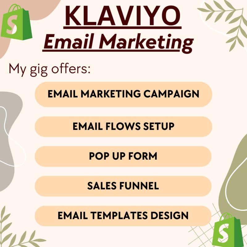 I will setup Klaviyo email marketing flows, Shopify sales marketing, and Mailchimp campaign