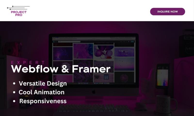 I will professionally design or redesign your modern website with webflow, framer