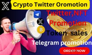 I will do organic crypto Twitter promotion to grow page followers 10x